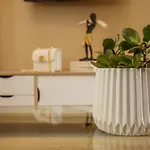 Amaria Studio